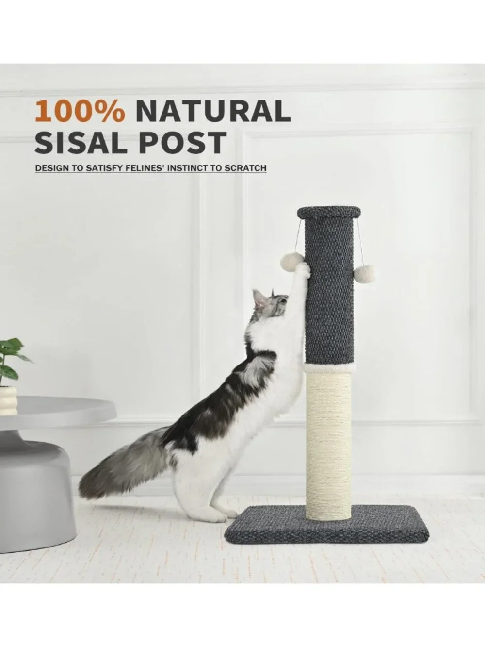 Tall Cat Scratching Post with Sisal & Carpet, 33